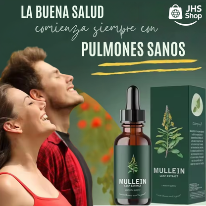 GOTAS DE MULLEIN (GORDOLOBO) 🌿 + CLOROFILA 🟢 para la salud respiratoria y pulmonar. ¡Limpia tus pulmones y respira mejor! 🫁 🩺