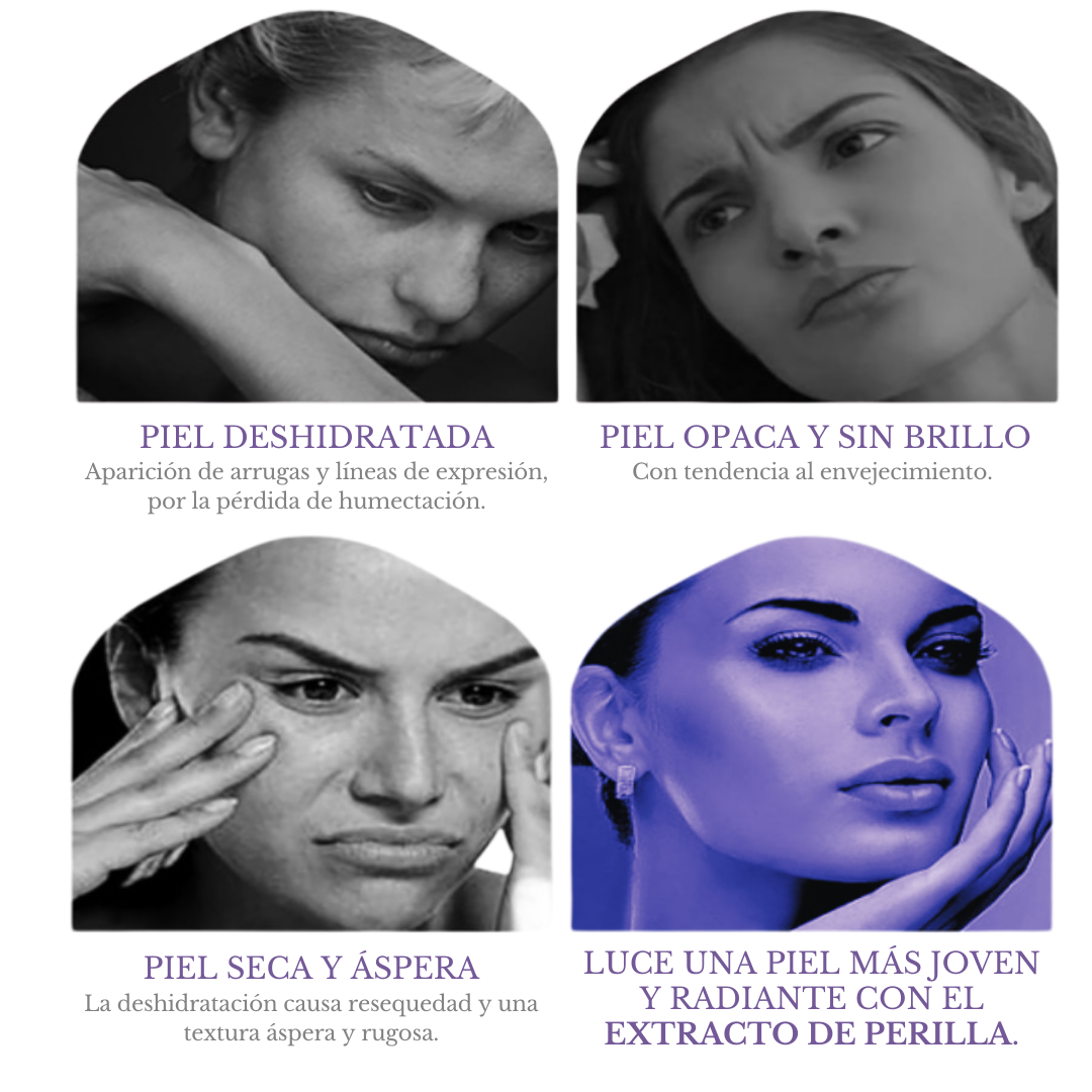 CREMA Bioaqua® DE EXTRACTO DE PERILLA, HIDRATANTE ANTI-ENVEJECIMIENTO. 🧴🌿👩🏻💜✨ ¡Nutre y repara tu piel!