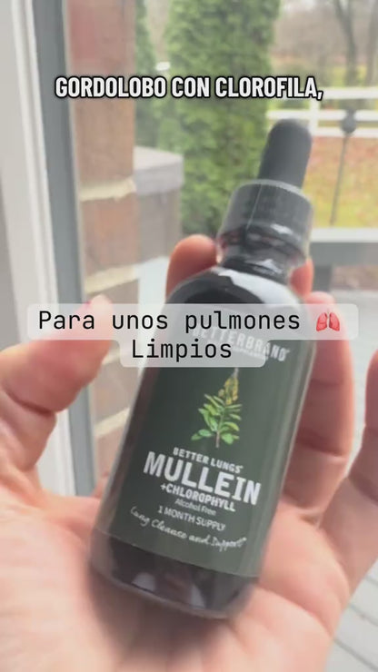GOTAS DE MULLEIN (GORDOLOBO) 🌿 + CLOROFILA 🟢 para la salud respiratoria y pulmonar. ¡Limpia tus pulmones y respira mejor! 🫁 🩺
