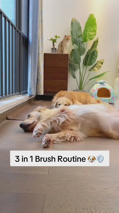 CEPILLO PARA MASCOTAS 3 en 1. 🐶 😺 ¡Cepilla y consiente a tu peludo con un masaje-spa de vapor!