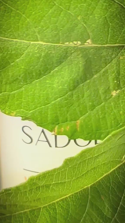 SÉRUM FACIAL Sadoer® ESENCIA DE NARANJA CON VITAMINA C. Hidratante + Antiedad + Antimanchas