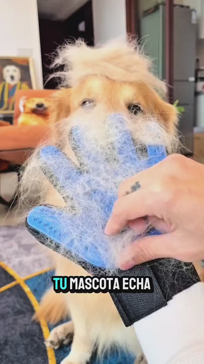 GUANTES QUITA PELO PARA MASCOTAS 🐶😺