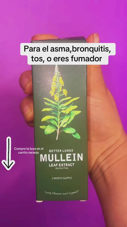 GOTAS DE MULLEIN (GORDOLOBO) 🌿 + CLOROFILA 🟢 para la salud respiratoria y pulmonar. ¡Limpia tus pulmones y respira mejor! 🫁 🩺